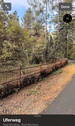 Blick Norden - 