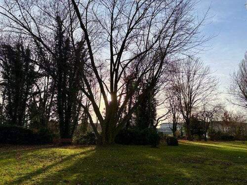 Rückseitiges Grundstück - 