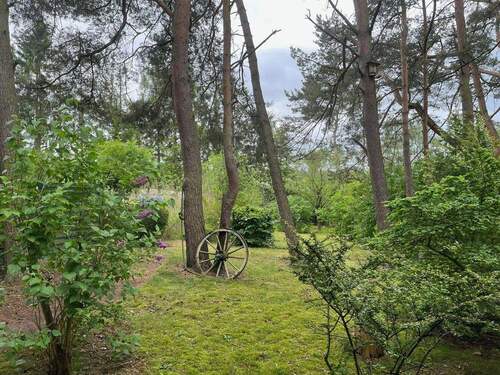 Blick aus dem Wohnzimmer - 