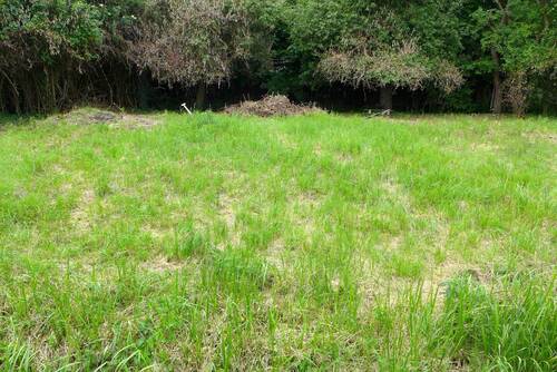 Grundstücksansicht mitte - Grundstück in Berne