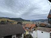 Aussicht vom Balkon - 