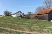 IMG_8553 - 