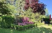 Gartenbepflanzung - 