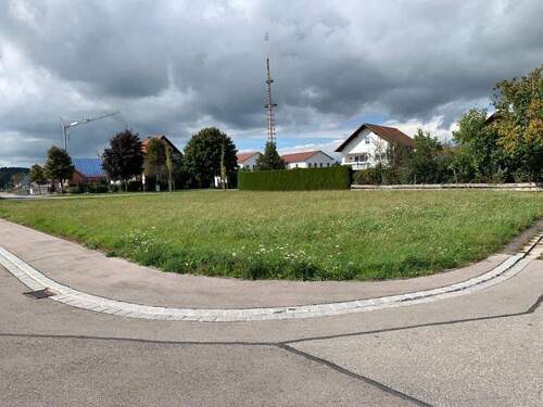 Grundstück Rammingen - 7 Zimmer Einfamilienhaus zum Kaufen in Rammingen