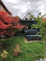 Garten - 1 Zimmer Mehrfamilienhaus, Wohnhaus zum Kaufen in Werra-Suhl-Tal