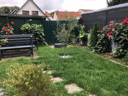 Grillplatz - Mehrfamilienhaus, Wohnhaus mit 267,00 m&sup2; in Werra-Suhl-Tal zum Kaufen