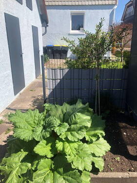 Bild 9 - 