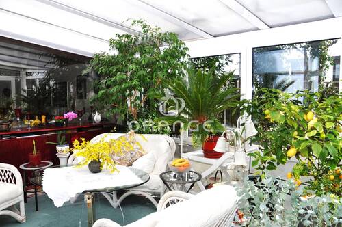 Wintergarten - 