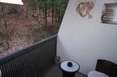 DSC03205 - 