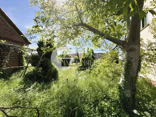 Garten - 