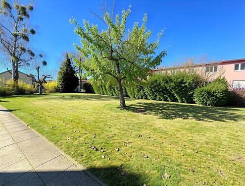Garten - 