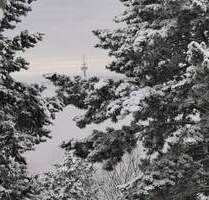 Traumhaftes Mehrgenerationenhaus: Pool, Panoramablick & Ruheoase - nur 30 Min. v. FFMWiesbaden - Glashütten