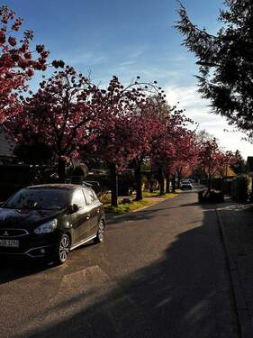 Wohnstraße im Frühling - 6 Zimmer Einfamilienhaus zum Kaufen in Hamburg Poppenbüttel