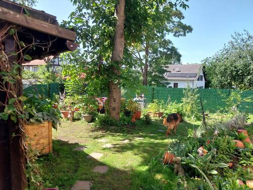 20230811_140318.jpg - 