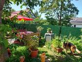 20230811_140343.jpg - 