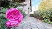 Eingang - 
