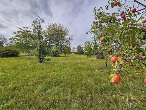 rote Äpfel inbegriffen - !! Landidylle pur !! - 496.000,00&nbsp;EUR Kaufpreis, ca.&nbsp; 255,00&nbsp;m&sup2;&nbsp;Wohnfl&auml;che