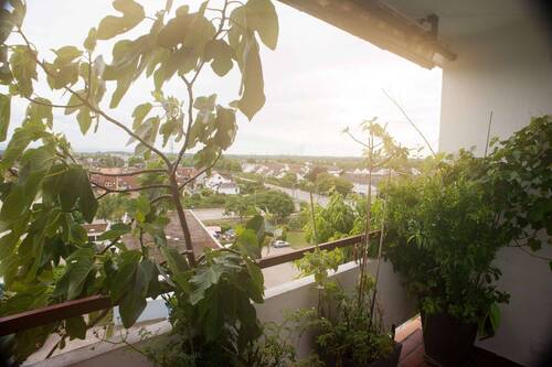 Balkon - 