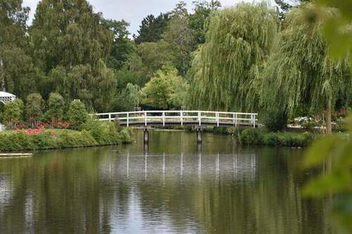 Blick auf Rosarium Uetersen - 