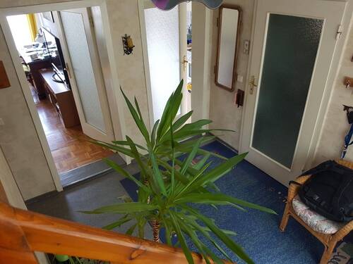 47b20011-ac5b-4195-8468-034b3b7af225.jpeg - 