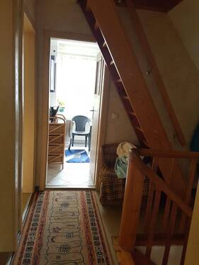 fe07f055-f487-4bef-a113-e3cac57848fa.jpeg - 