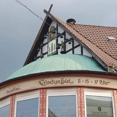 Glockenspiel - Mehrfamilienhaus, Wohnhaus mit 611,00 m² in Braunlage zum Kaufen