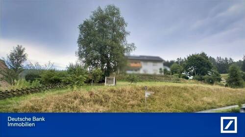 Herrlicher Südhang - DBI - RALF PAVALETZ - ca. 555 m² großes Südhang-Grundstück in Hammereisenbach