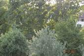 Hauptzimmer Westblick - 