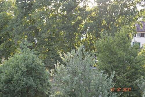 Hauptzimmer Westblick - 