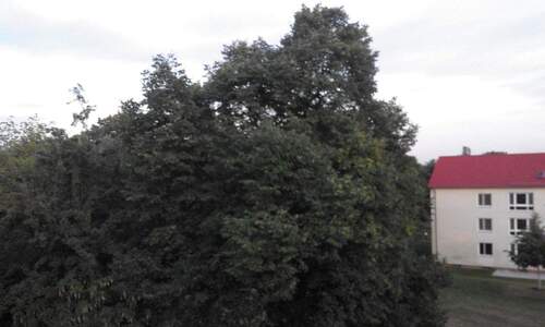 Sicht nach Südost - 