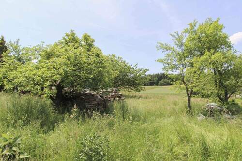 Grundstück - Grundstück in Scheyern
