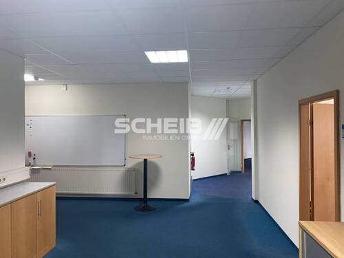 Teppichboden - 