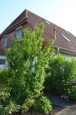Vorderseite Haus mit Garage - Urbaner Komfort trifft Naturidylle -Doppelhaushälfte in Top-Lage