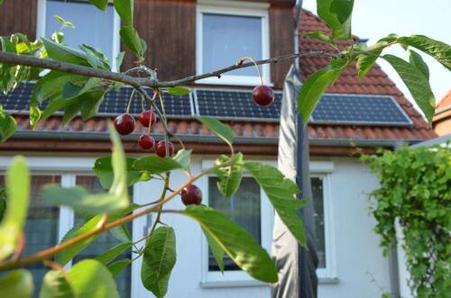 Garten Foto 3 - 