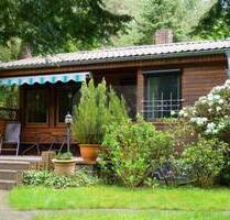 Wochenendhaus auf Waldgrundstück im Fläming nahe dem Silbersee - Coswig (Anhalt)