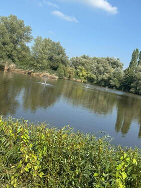 Bild 10 - 