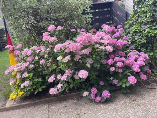 Bild 14 - 