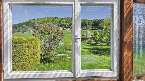 Blick aus Gartenhaus - 