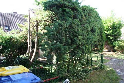 Garten - 
