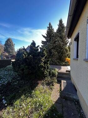 Vorgarten - 