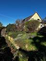Blick in den hinteren Garten - 