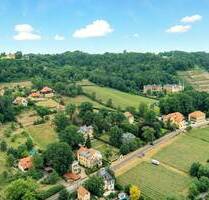 Exklusive Erdgeschosswohnung in den Weinbergen, Südterrasse (60 m²) und Garten, Stellplätze - Radebeul