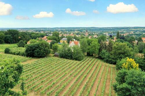Blick von der Terrasse - 6 Zimmer Terrassenwohnung in Radebeul