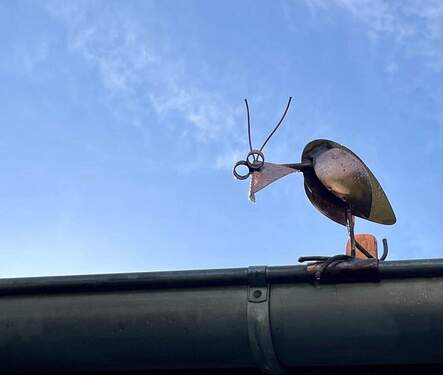 Aufpasser auf dem Dach - 