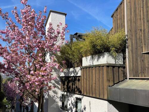 Im Frühjahr noch schöner - 