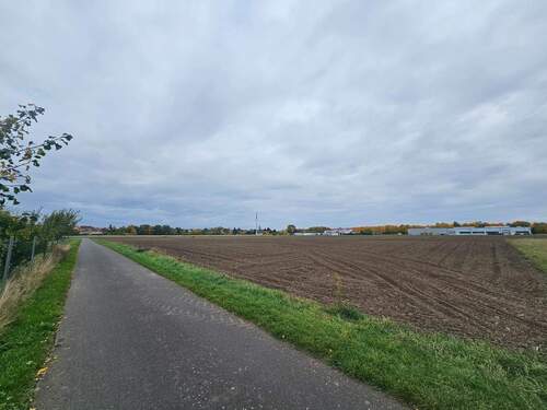 Bild 3 - Grundstück zum Kaufen in Muldestausee