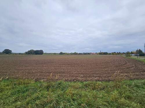 Bild 4 - Grundstück in Muldestausee