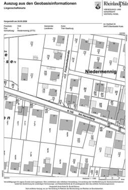 RP31_00013MN4_RP_Liegenschaftskarte.jpg - Bungalow mit 190,00 m&sup2; in Konz zum Kaufen