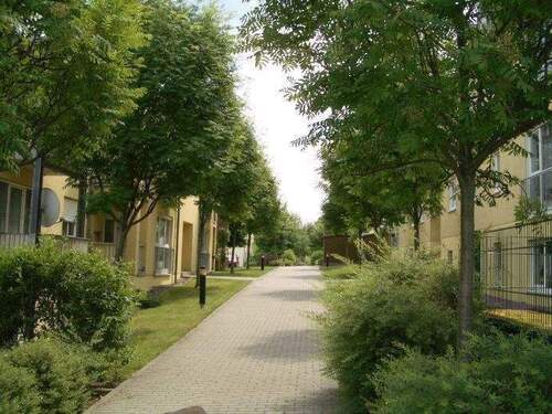 Weg zum Eingang - 2 Zimmer Etagenwohnung zur Miete in Dresden