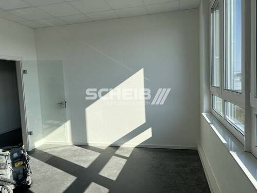 schöne Glastüren - 